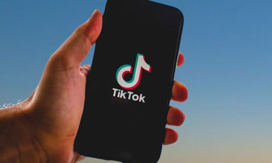 Chiffres 2021 de TikTok